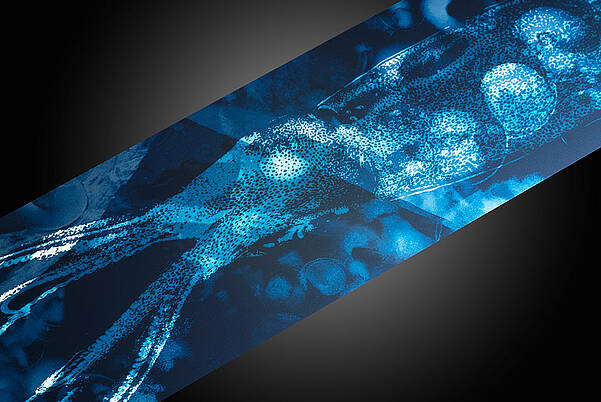 LEONHARD KURZ 蓝光设计的汽车仪表板